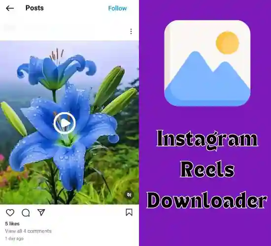 instavideosave